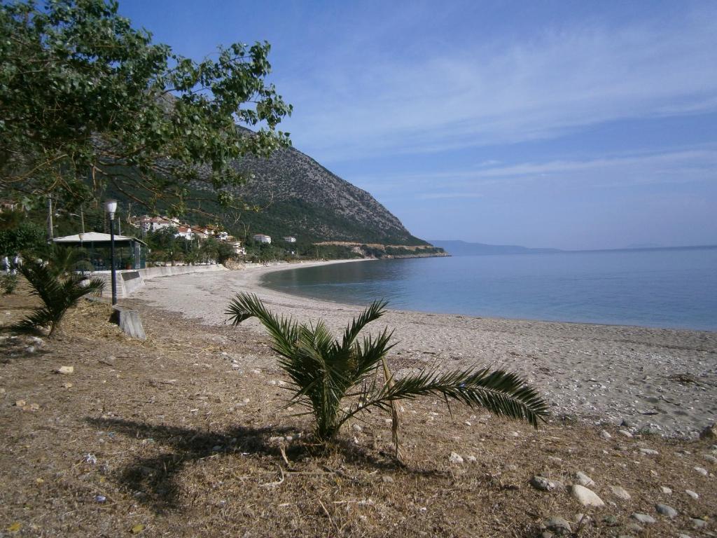 Petros Studios Poros  Exteriör bild